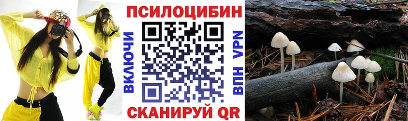 Псилоцибиновые грибы прущие грибы  площадка как зайти  Спасск 
