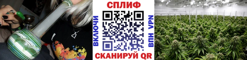 Бошки Шишки Bruce Banner  купить  сайты  Спасск 